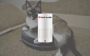 Evcil Hayvan ve Robot Süpürgeyi Ayırt Edebilen Hareket Sensörleri ile Hassas Güvenlik Evcil Hayvan ve Robot Süpürgeyi Ayırt Edebilen Hareket Sensörleri ile Hassas Güvenlik